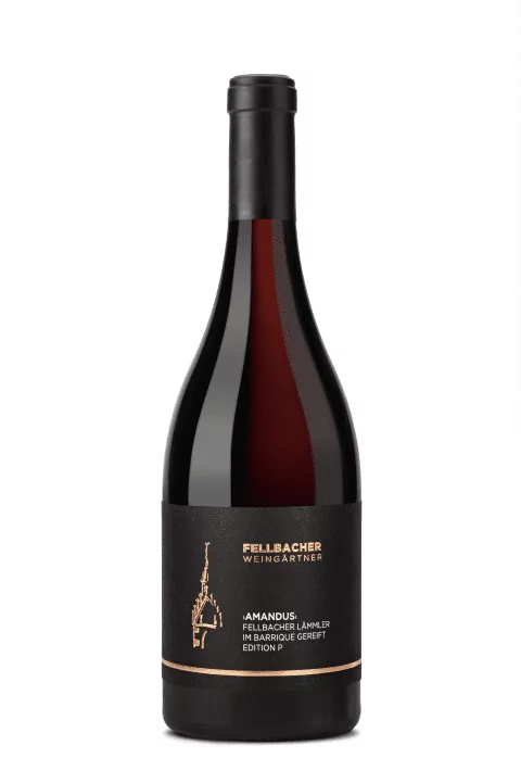 Flasche mit Rotwein unserer Amandus Cuvée aus der Edition P der Fellbacher Weingärtner eG