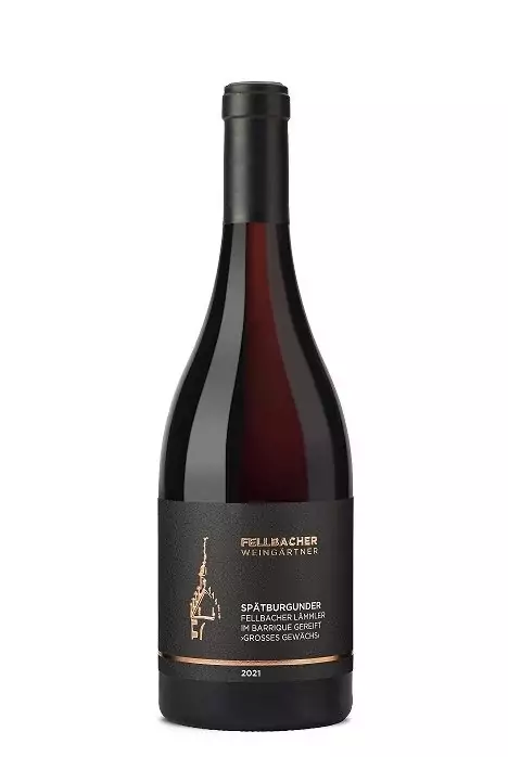 Flasche Rotwein der Rebsorte Spätburgunder der Fellbacher Weingärtner eG