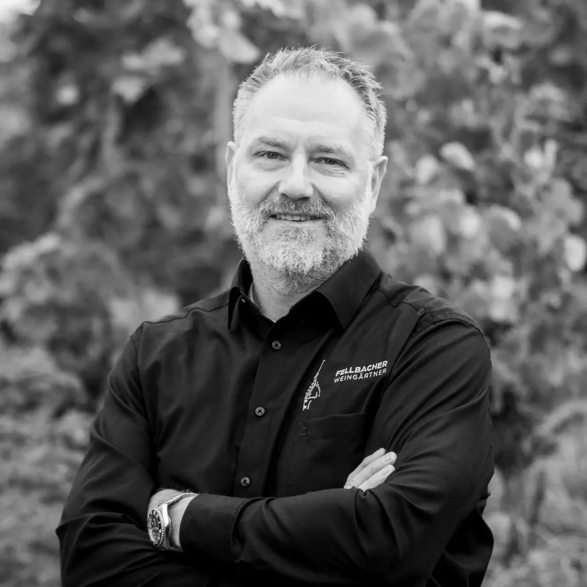 Thomas Zerweck, Kellermeister der Fellbacher Weingärtner eG