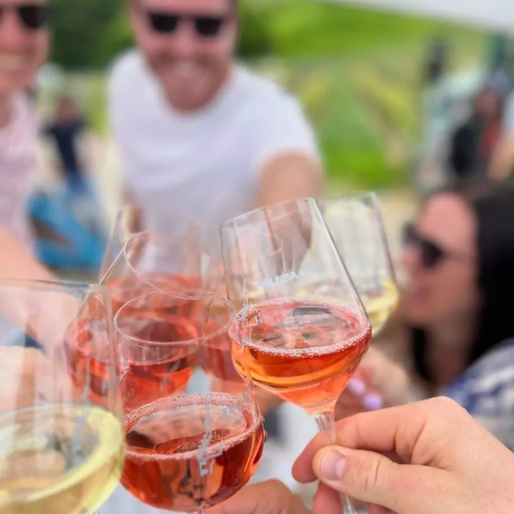 Bild mit anstoßenden Gläsern zu unserem Thema "Wein & Weiter"