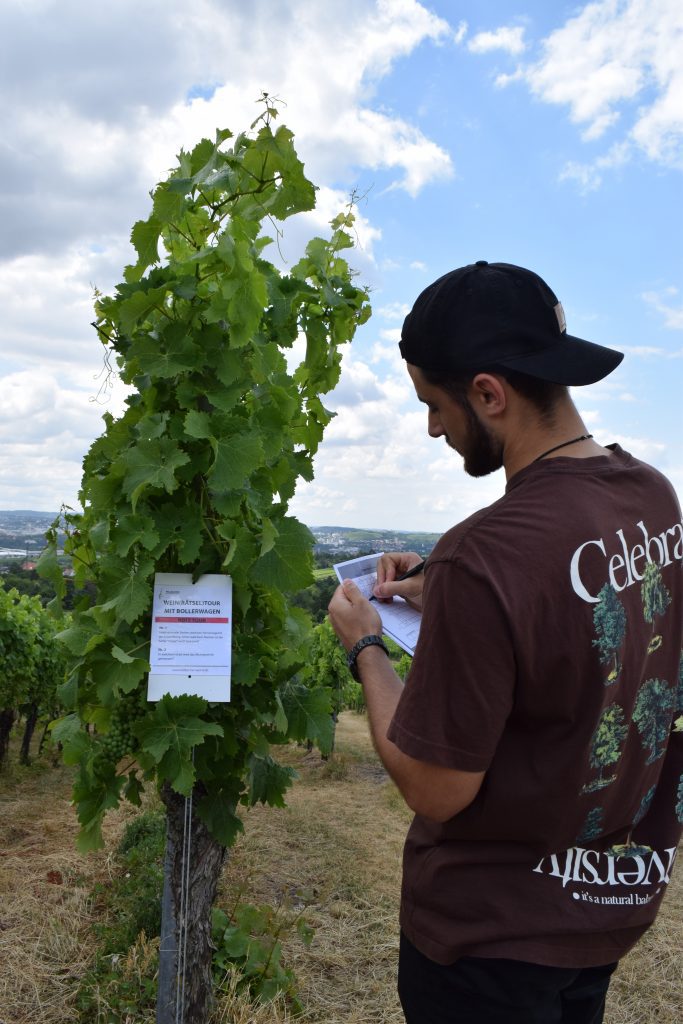 Wein-Rätsel-Tour - Rätselschild im Weinberg