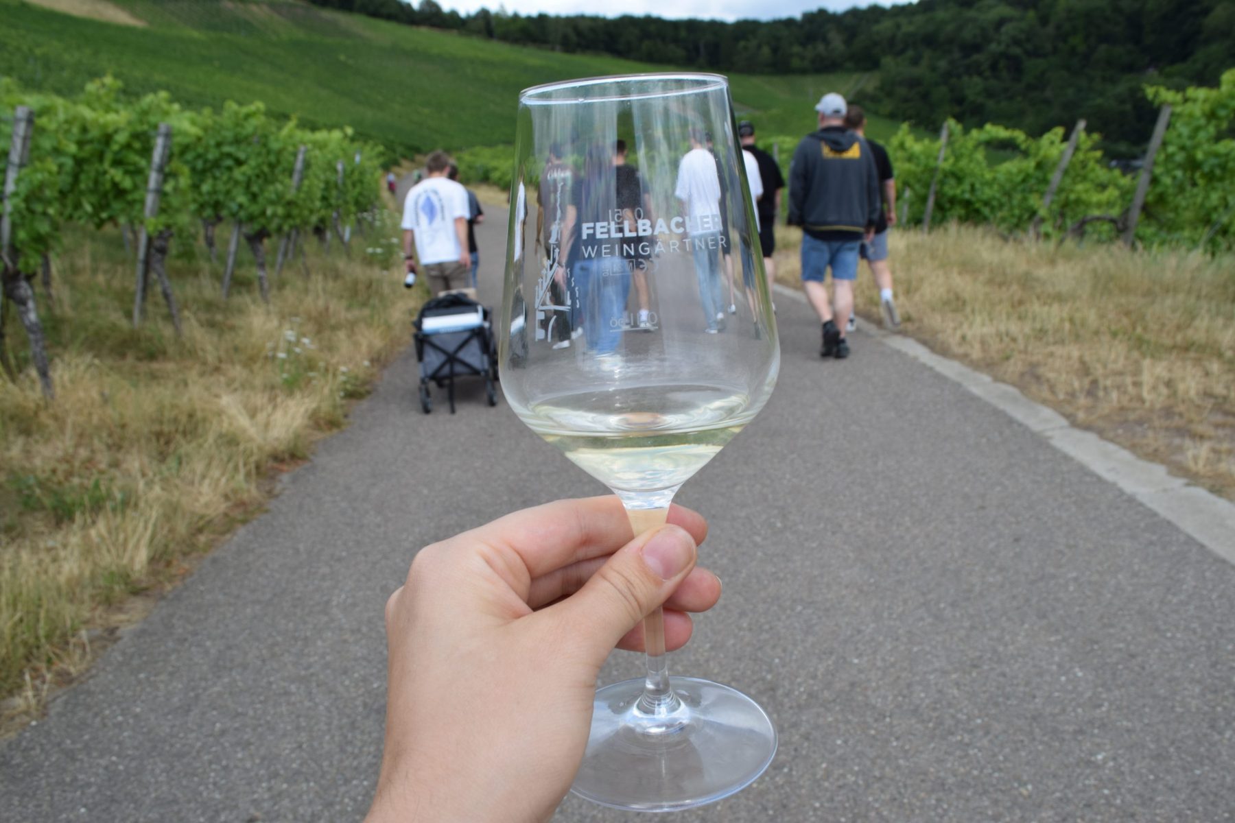 Wein-Rätsel-Tour
